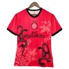 Fußball Trikot Inter Mailand Special 2025-26