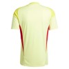 Fußball Trikot Aston Villa Torwart 2025-26 Gelbe