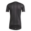 Fußball Trikot Aston Villa Torwart 2025-26 Schwarze