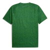 Fußball Trikot Manchester City Pre-Match 2025-26 Grüne