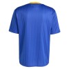Fußball Trikot Boca Juniors Terrace Icons 2025-26