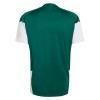 Italien Trainingsshirts WM 2026 Grüne