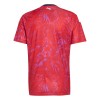 Fußball Trikot Costa Rica Heim WM 2026