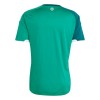 Fußball Trikot Nordirland Heim WM 2026