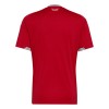 Fußball Trikot Wales Heim WM 2026