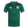 Fußball Trikot Mexiko Heim WM 2026 - Kinder