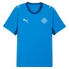 Fußball Trikot Island Heim WM 2026