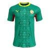 Fußball Trikot Senegal Auswärts WM 2026 Fußball Trikot Senegal Auswärts WM 2026