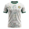 Fußball Trikot Senegal Heim WM 2026 Fußball Trikot Senegal Heim WM 2026