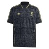 Fußball Trikot Liverpool Lifestyle Special Edition 2025-26