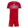 Fußball Trikot Wales Heim WM 2026 - Kinder Fußball Trikot Wales Heim WM 2026 - Kinder