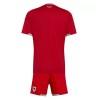 Fußball Trikot Wales Heim WM 2026 - Kinder