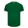 Fußball Trikot Irland Heim 2026-27