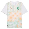 Fußball Trikot Elfenbeinküste Auswärts WM 2026