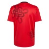 Fußball Trikot Manchester United Cultural Story Special Edition 2025-26