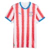 Fußball Trikot Paraguay Heim WM 2026