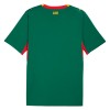 Fußball Trikot Senegal Auswärts WM 2026