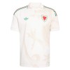 Fußball Trikot Wales Auswärts WM 2026
