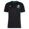 Fußball Trikot Mexiko Ausweich WM 2026 - Kinder
