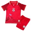Fußball Trikot Haiti Ausweich WM 2026 - Kinder Fußball Trikot Haiti Ausweich WM 2026 - Kinder