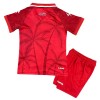 Fußball Trikot Haiti Ausweich WM 2026 - Kinder