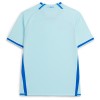 Fußball Trikot FC Porto Ausweich 2026-27