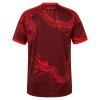 Fußball Trikot Internacional Ausweich 2026-27