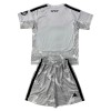 Fußball Trikot Real Madrid Torwart 2026-27 Graue - Kinder