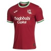 Fußball Trikot Real Sociedad Ausweich 2026-27 Fußball Trikot Real Sociedad Ausweich 2026-27