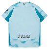 Fußball Trikot West Ham United Ausweich 2026-27