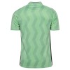 Fußball Trikot AS Saint-Etienne Ausweich 2026-27