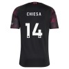 Fußball Trikot Liverpool Chiesa 14 Ausweich 2026-27 - Kinder